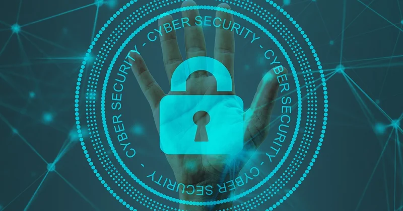 Liens toxiques et pénalités : comment se protéger